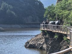 -仙居谷风景区