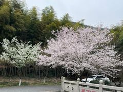 -苏州环秀晓筑养生度假村