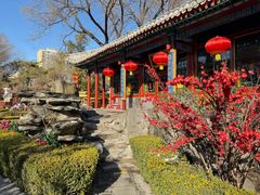 -白家大院·王府宫廷菜(苏州街店)