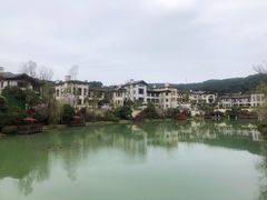 -铁山坪森林公园