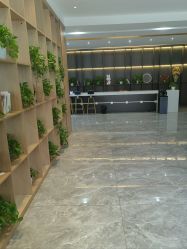 -碧莲盛·不剃发植发