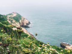 -东极岛景区