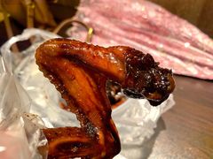 -福鼎褚翅