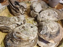 -蠔爺王志德生蚝馆(金沙湾店)
