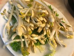 花生苗-迎宾楼(解放西街店)