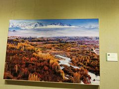 -南湖市民广场-乌鲁木齐美术馆