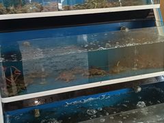 -如轩·海鲜砂锅粥·潮汕菜(小榄店)