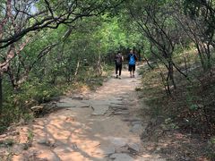 -鬼笑石后山停车场
