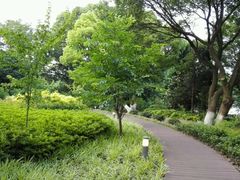 -上海市保健医疗中心(华东疗养院)