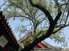 -莲池书院博物馆