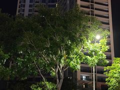 -三亚凤凰水城凯莱度假酒店