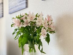 -优衣库(银座店)