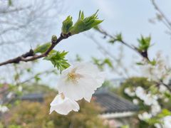 -湘湖金融镇