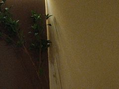 -小仙女采耳·按摩·SPA(深圳旗舰店)