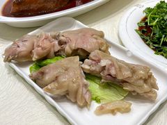 -丁老爷子苏香圆