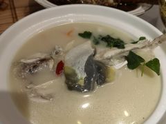 东坡河鱼-肆月河豚·新淮扬(金融街店)