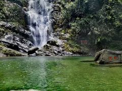 -鼎湖山风景区