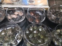 -曲阳花鸟市场(曲阳路店)