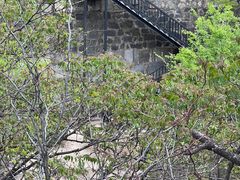 -北京鹫峰国家森林公园