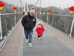 -中国大熊猫保护研究中心雅安碧峰峡基地