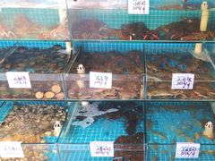 -晓伟海鲜家常菜