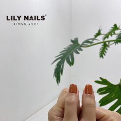 -LILY NAILS美甲美睫