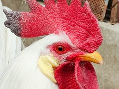 -天毓山庄·餐厅