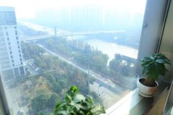 -涌泉妈咪树通乳·产后恢复