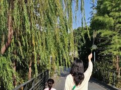 -尚贤河湿地