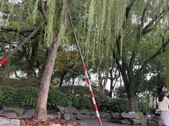 -西湖游船