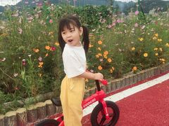 -趣动熊运动发展中心(乐坊校区)
