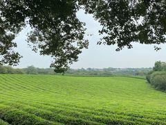 -敬亭山风景名胜区