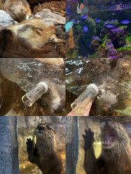 -Zoolung Zoolung动物主题公园(海信广场店)