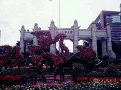 -中山大学学者灵芝(园南路店)