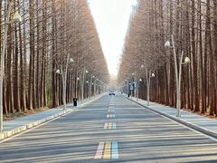 -日照海滨国家森林公园