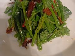 昭通椒丝油鸡枞麦瓜尖-泓0871臻选云南菜·味庄