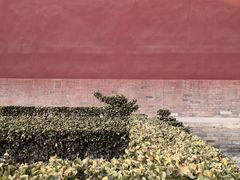 -隆兴寺