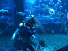 -北戴河圣蓝海洋公园