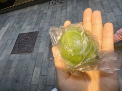 -沈大成(城隍庙店)