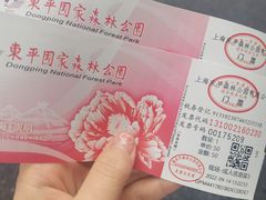 -东平国家森林公园