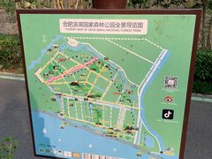 -合肥滨湖国家森林公园