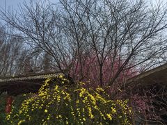 -玫瑰庄园·自助烧烤·烤全羊·团建拓展(龙泉山店)