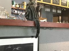 -咖法森林·咖啡  酒吧(天河店)