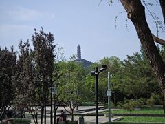 -北坞公园