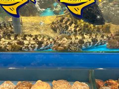 -海铺·渔家虾水饺(皇姑店)