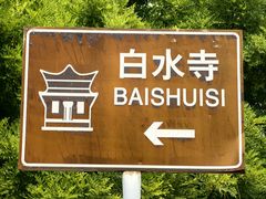 -白水寺森林公园