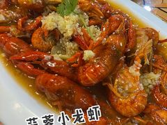 龙虾-大孩龙虾(体育场旗舰店)