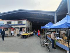 -大连双兴商品城