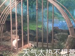 -杭州动物园