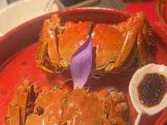 -吴越荣记·苏州菜·松鼠桂鱼(斜塘老街店)